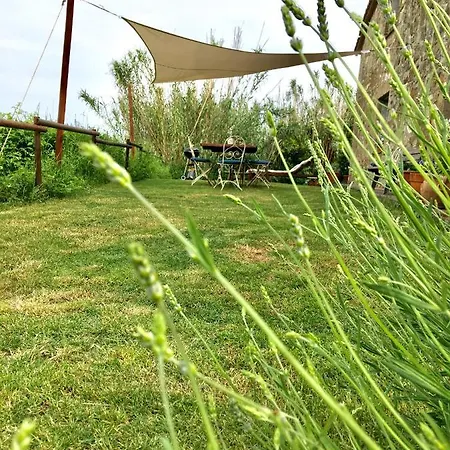 Vitalba By Gallo Holiday home *